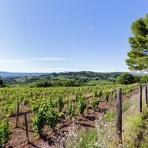 Hébergement de vacances Park Castellet Provence - Dans Les Vignes Aoc Bandol à 15 Min Des Plages Et Du Circuit Paul Ricard F1, Le Beausset